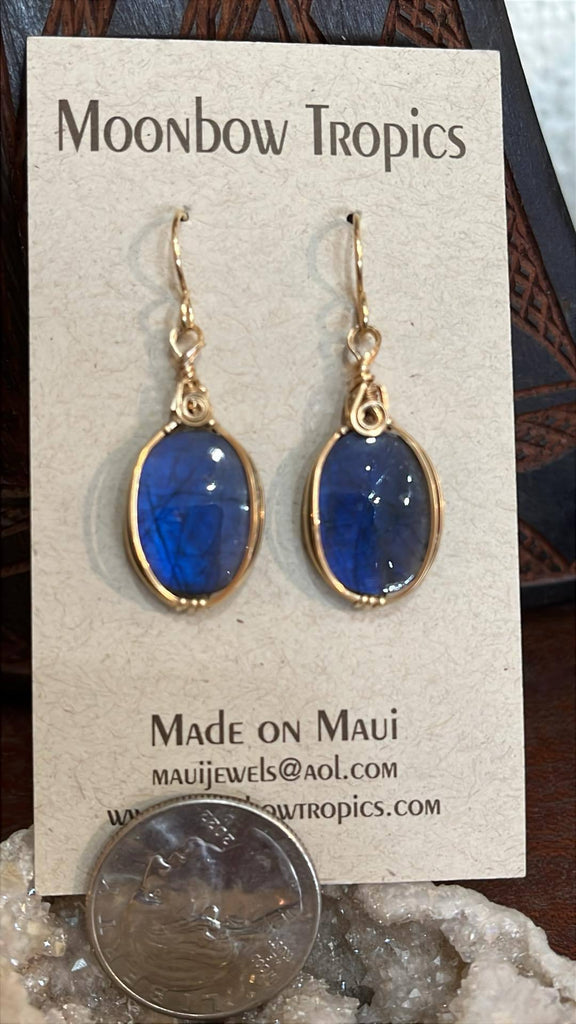 Labradorite / Spectralite Earrings