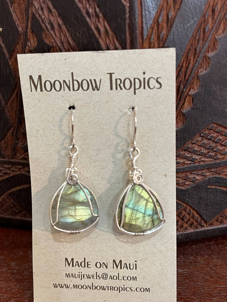 Labradorite / Spectralite Earrings