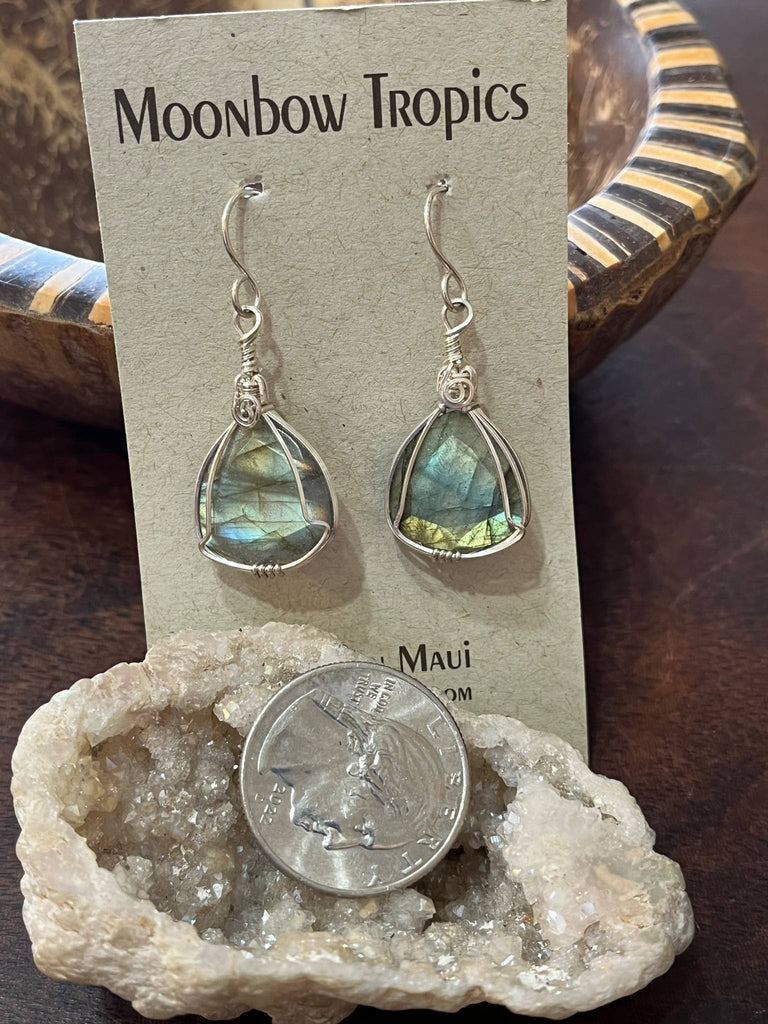 Labradorite / Spectralite Earrings